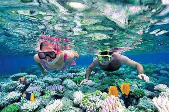 Snorkelling in clear Seychelles water